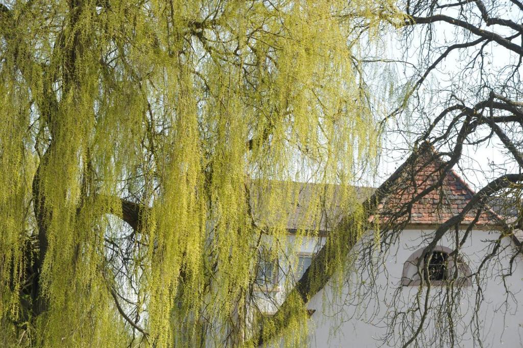 Zeiskamer Muehle 외부 사진